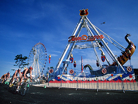 What Are The Combined Style Amusement Rides Equipment? 7 2022 Best Amusement Rides Equipment Made In China|Factory Price Amusement Rides Equipment For Sale