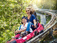 What Is Friction, Wear And Lubrication Of Outdoor Amusement Park Ride 11 2022 Best Outdoor Amusement Park Ride Made In China|Factory Price Outdoor Amusement Park Ride For Sale