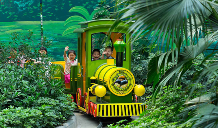 commercial-amusement-theme-park-train-ride-for-kids